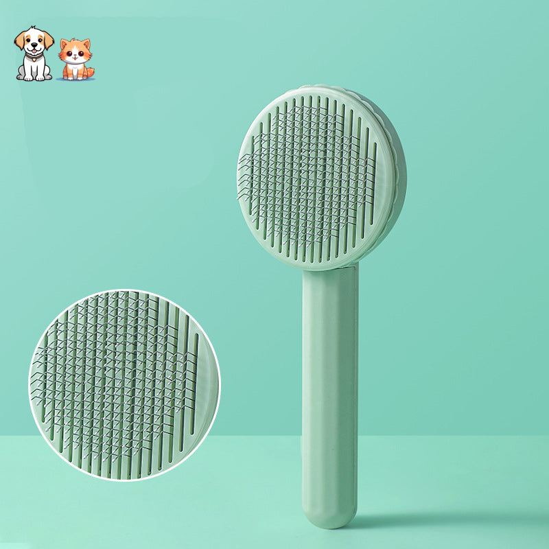 La brosse cactus