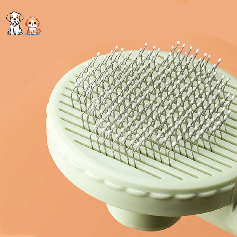 La brosse cactus