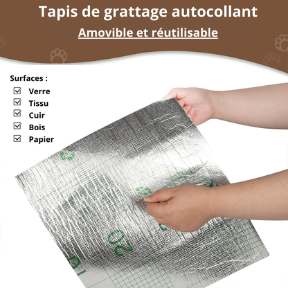 SCRATCHICAT - Protection efficace contre les griffures pour surfaces lisses