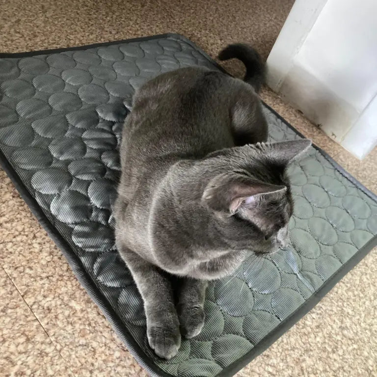 AnimalFreeze | Tapis rafraîchissant pour chien et chat – En promo ! 🔥