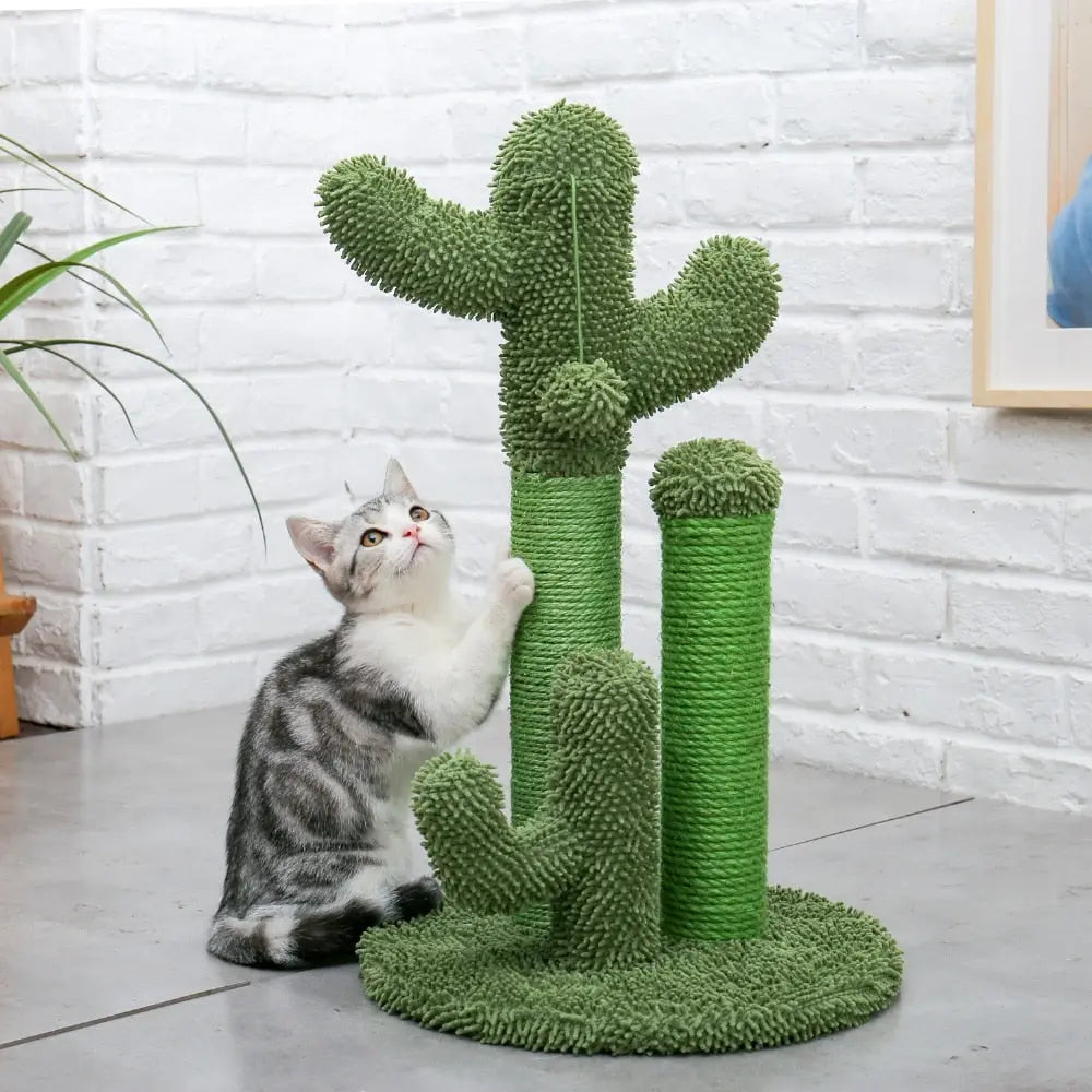 Arbre à chat mignon en forme de cactus avec boule pour chat XXL