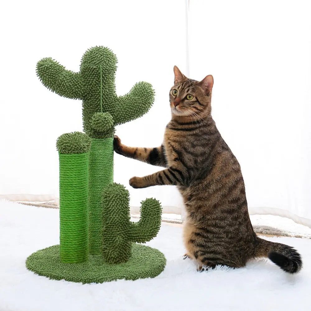 Arbre à chat mignon en forme de cactus avec boule pour chat XXL