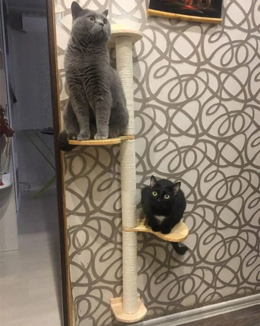 Arbre à gratter en sisal naturel pour chat