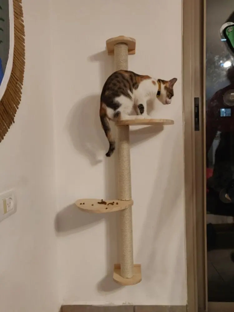 Arbre à gratter en sisal naturel pour chat