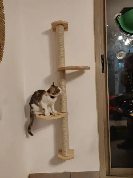 Arbre à gratter en sisal naturel pour chat