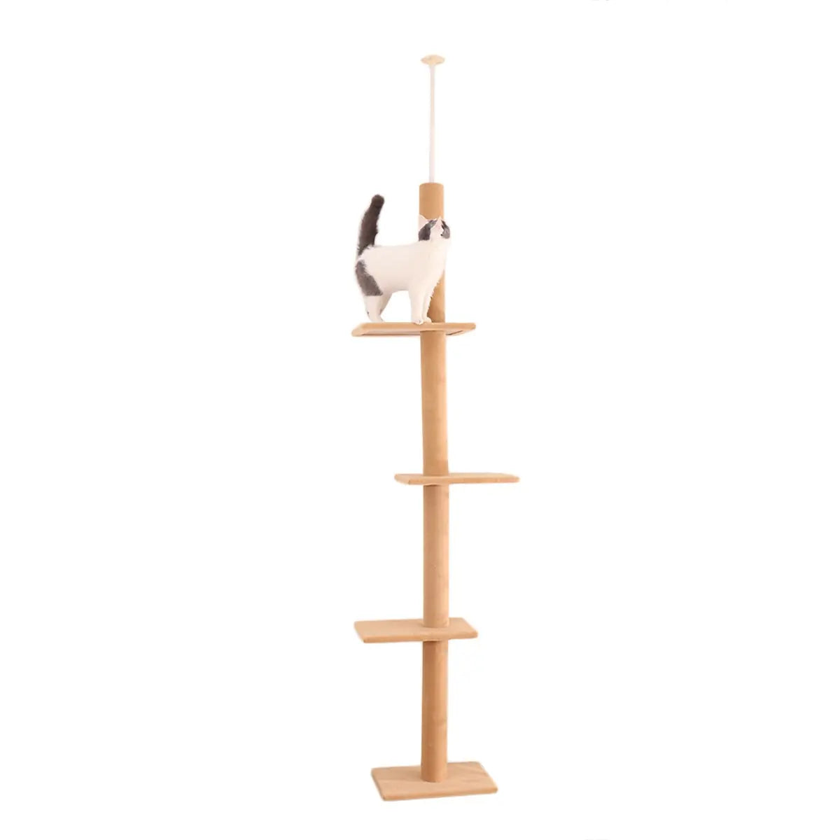 Arbre d'escalade pour chat à cinq niveaux