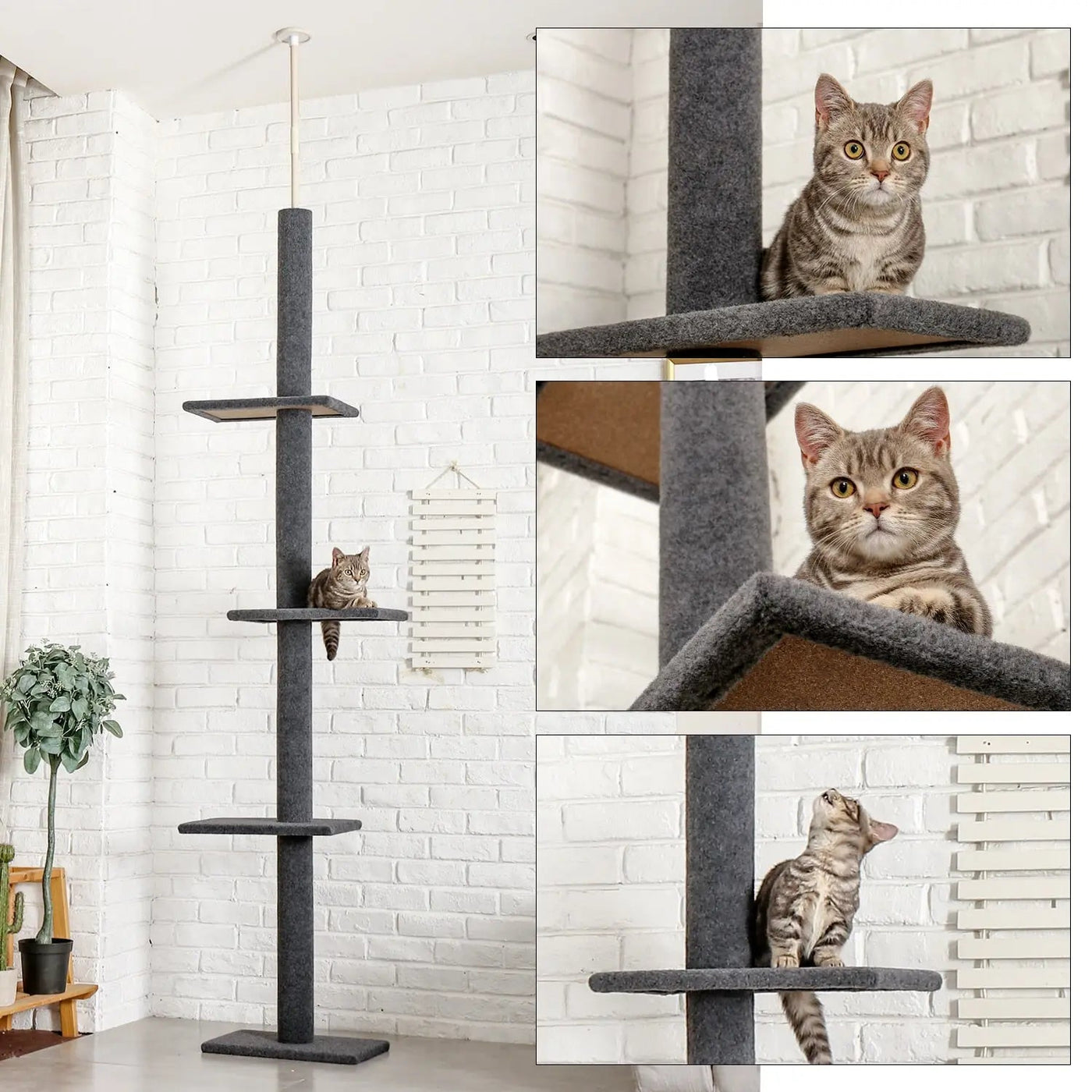 Arbre d'escalade pour chat à cinq niveaux