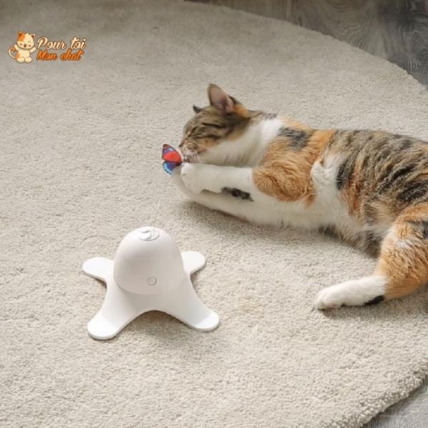 Jouet Papillon Volant pour Chat - Attrap'Papillon™