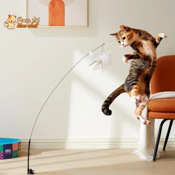 Jouet incroyable pour chat - Attrap'bird™