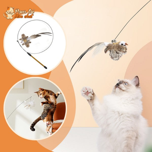 Jouet incroyable pour chat - Attrap'bird™