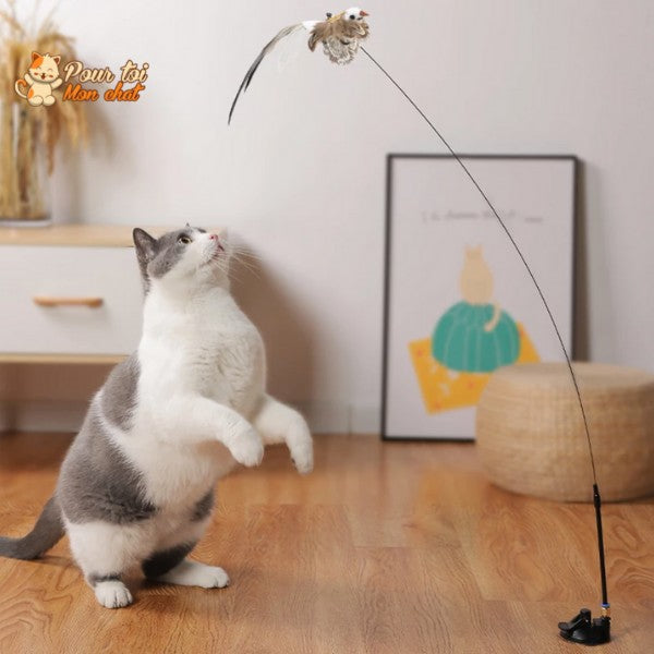 Jouet incroyable pour chat - Attrap'bird™