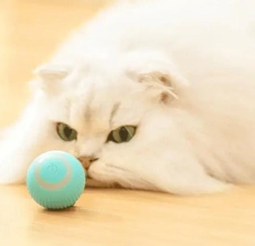 BALLE ROULANTE INTELLIGENTE POUR CHAT – Vite’Balle’Chat™