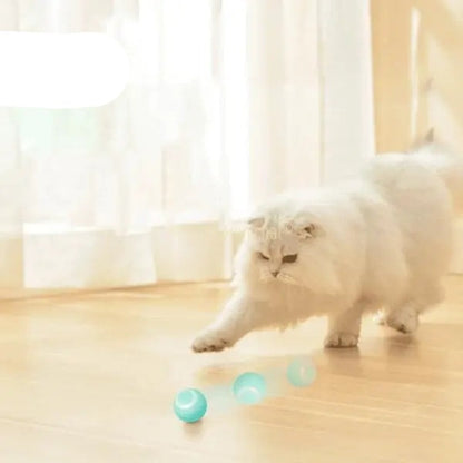 BALLE ROULANTE INTELLIGENTE POUR CHAT – Vite’Balle’Chat™