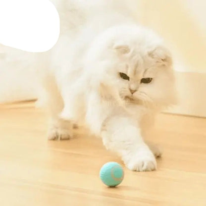 BALLE ROULANTE INTELLIGENTE POUR CHAT – Vite’Balle’Chat™