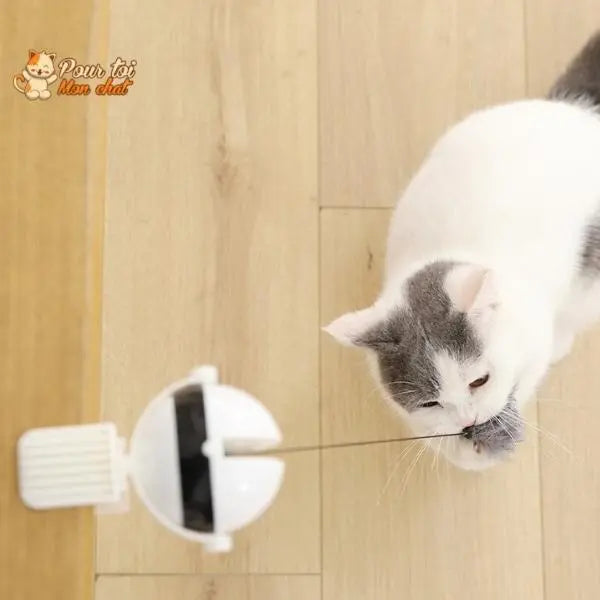 Balle Interactive pour chat - Attrap'Ball™