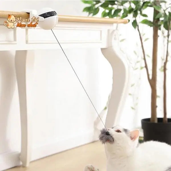 Balle Interactive pour chat - Attrap'Ball™