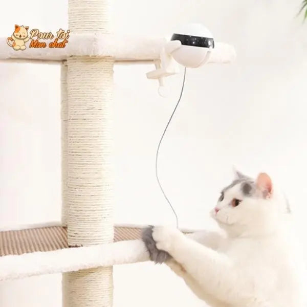 Balle Interactive pour chat - Attrap'Ball™