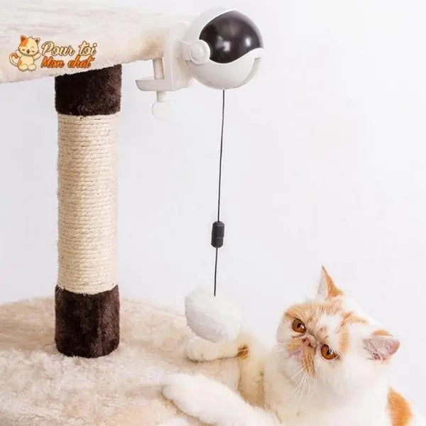 Balle Interactive pour chat - Attrap'Ball™