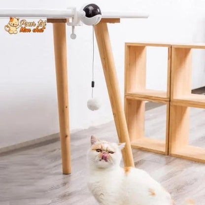 Balle Interactive pour chat - Attrap'Ball™