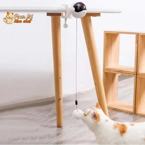 Balle Interactive pour chat - Attrap'Ball™