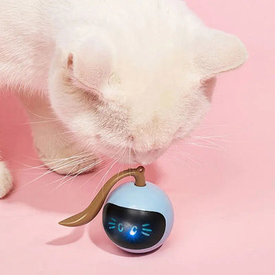 Balle interactive rotative et intelligente à LED pour chaton