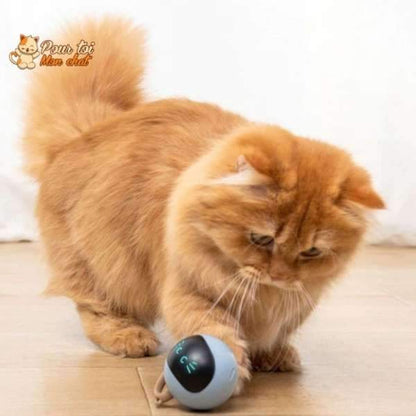 Balle Magique Lumineuse pour Chat - Catch'Cat™