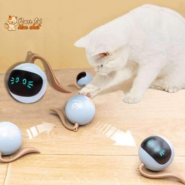 Balle Magique Lumineuse pour Chat - Catch'Cat™