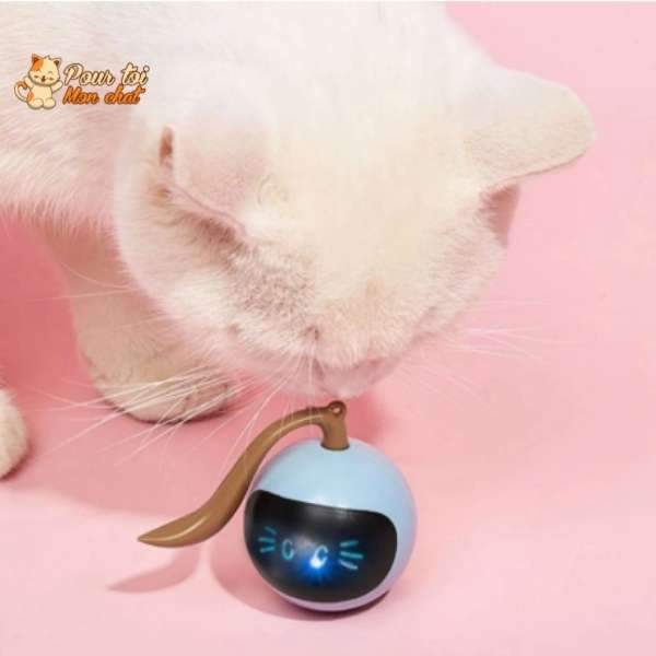 Balle Magique Lumineuse pour Chat - Catch'Cat™