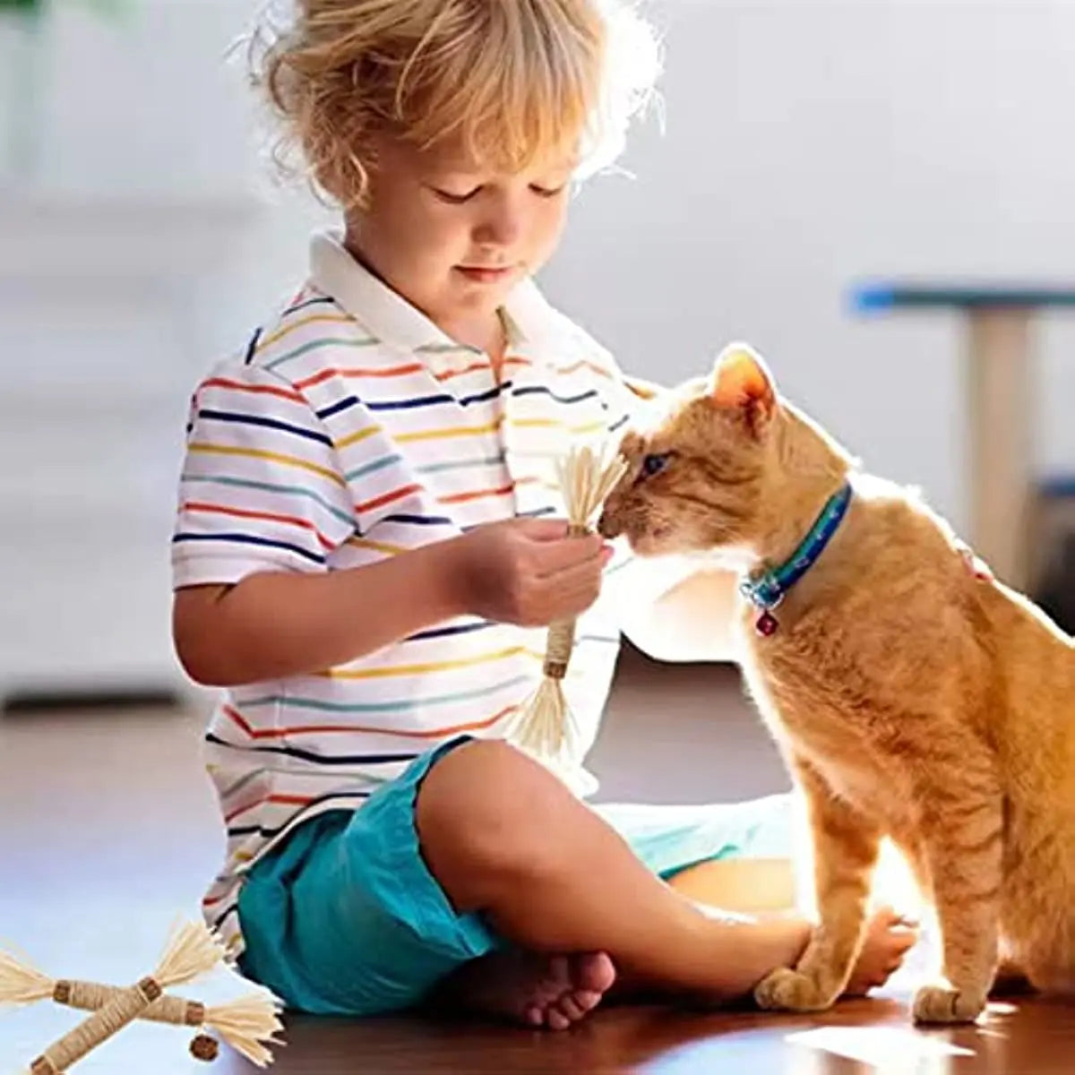 Bâton à mâcher en herbe pour chaton