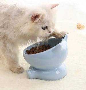 Bol en céramique à pieds hauts pour chat