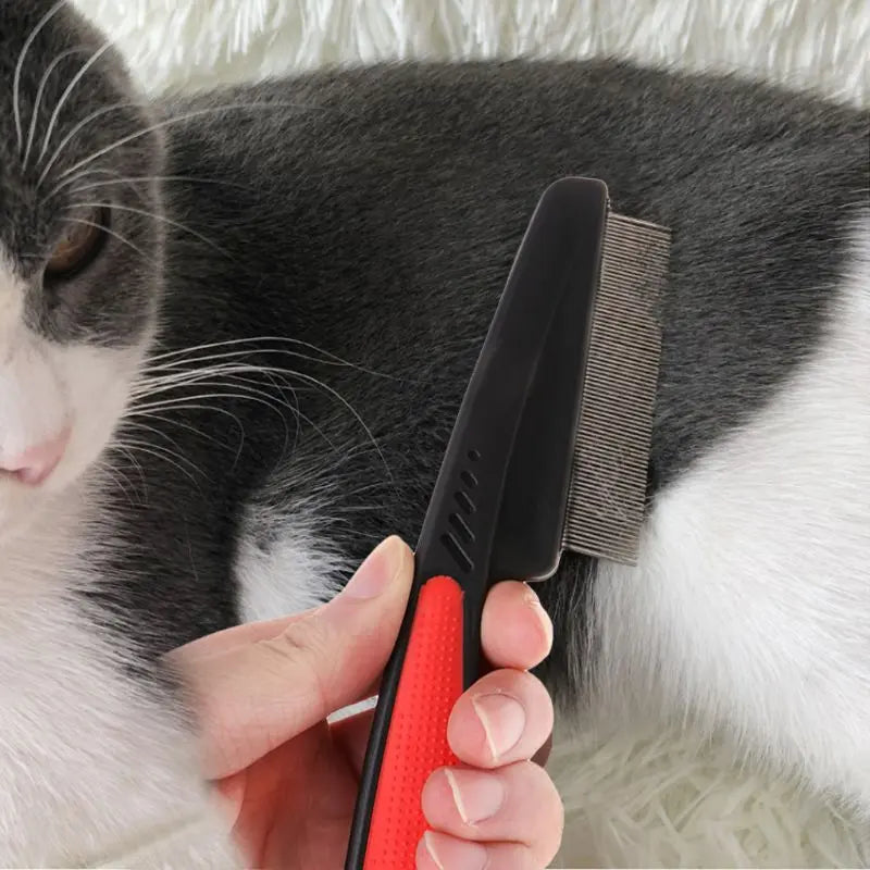 Brosse d'élimination des puces et des poux chat