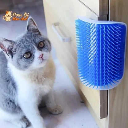 Brosse d’angle, auto-massage pour chats