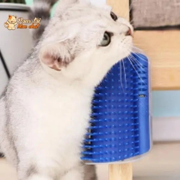 Brosse d’angle, auto-massage pour chats