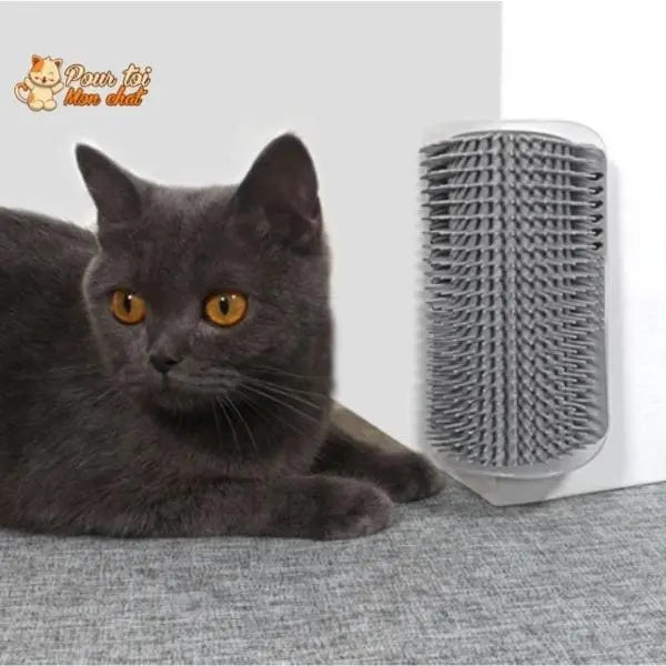 Brosse d’angle, auto-massage pour chats