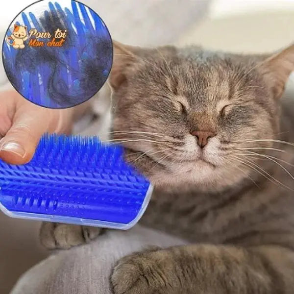 Brosse d’angle, auto-massage pour chats