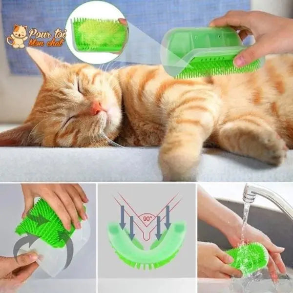 Brosse d’angle, auto-massage pour chats