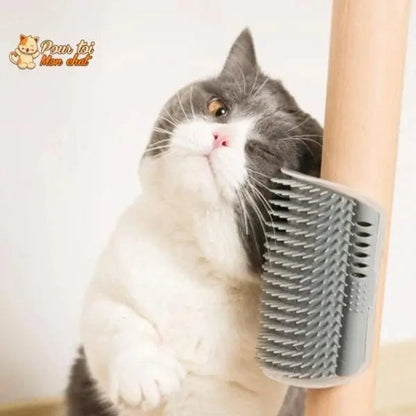 Brosse d’angle, auto-massage pour chats