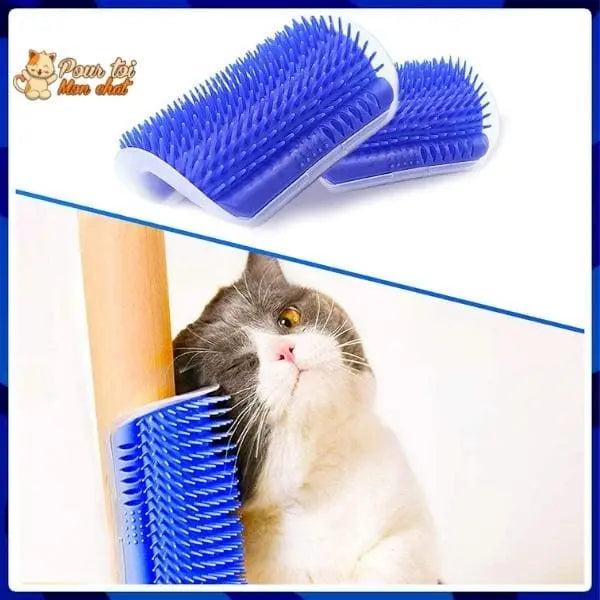 Brosse d’angle, auto-massage pour chats