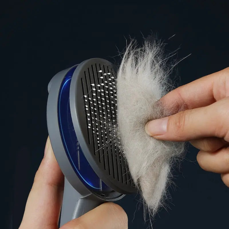 Brosse de toilettage avec bouton en acier inoxydable pour chat