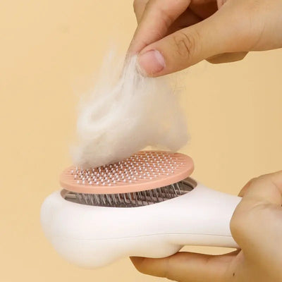 Brosse de toilettage en forme de patte de chat pour chat