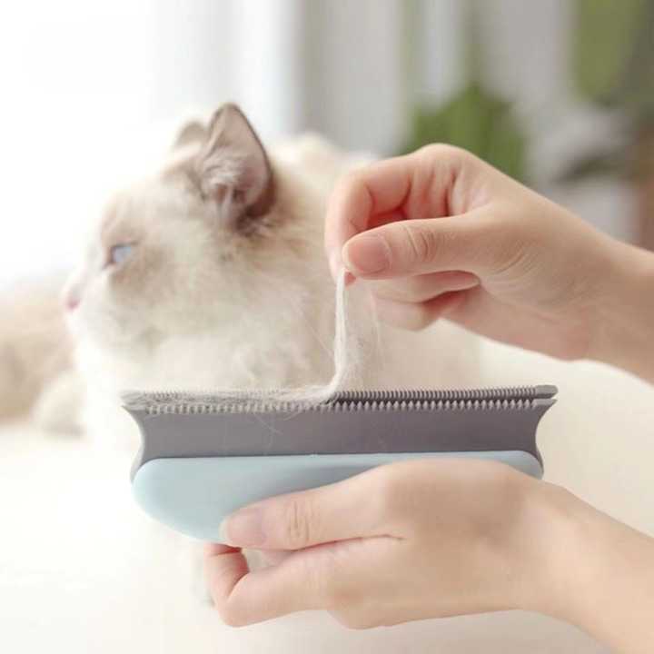 Brosse dépilatoire portable pour chat