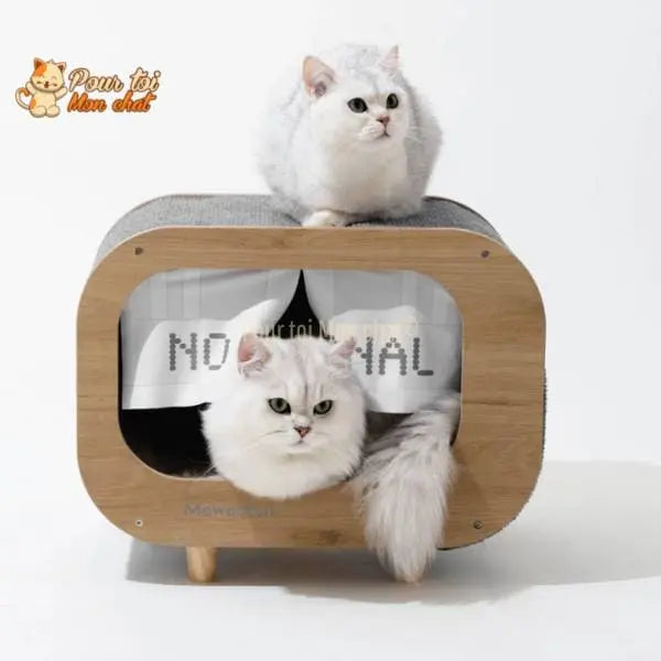 CABANE, LIT, MAISON - POUR CHAT MODERNE EN BOIS - TheRadioChat™