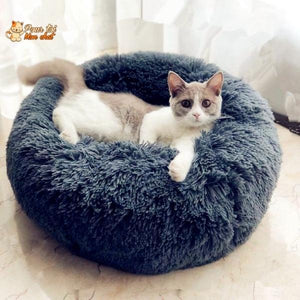 Coussin Douillet pour Chat - CoussinooRelax™