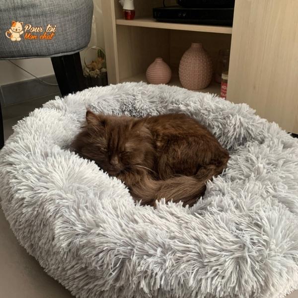 Coussin Douillet pour Chat - CoussinooRelax™