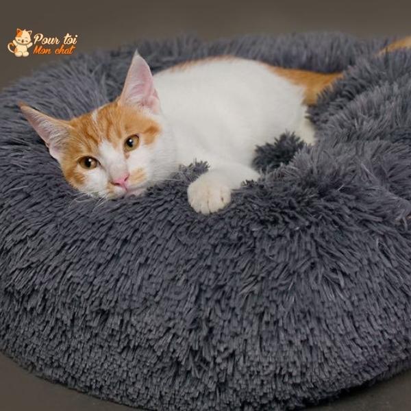 Coussin Douillet pour Chat - CoussinooRelax™