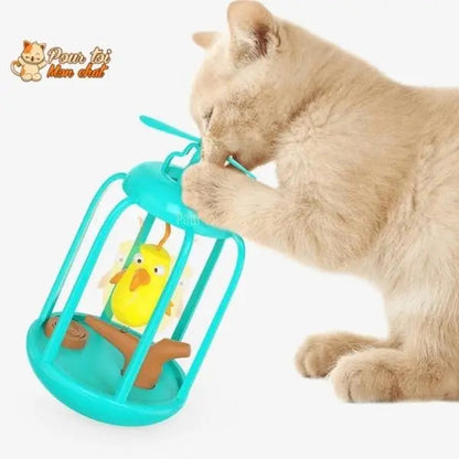 Cage à oiseau ludique pour chat - Titi&GrosMinet™