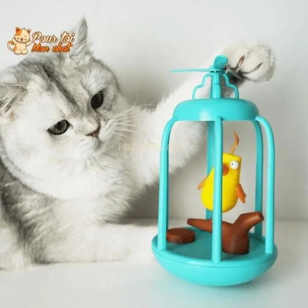 Cage à oiseau ludique pour chat - Titi&GrosMinet™