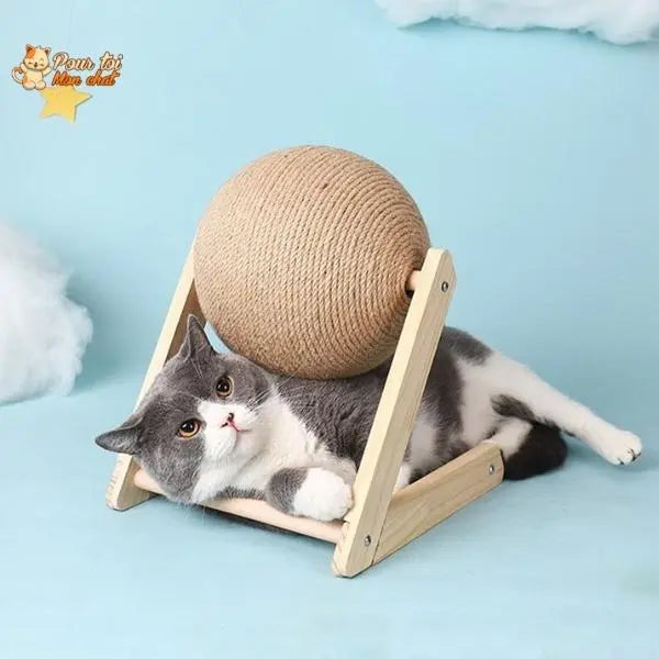 Griffoir brosse boule pour chat - Grif'Ball'Cat™