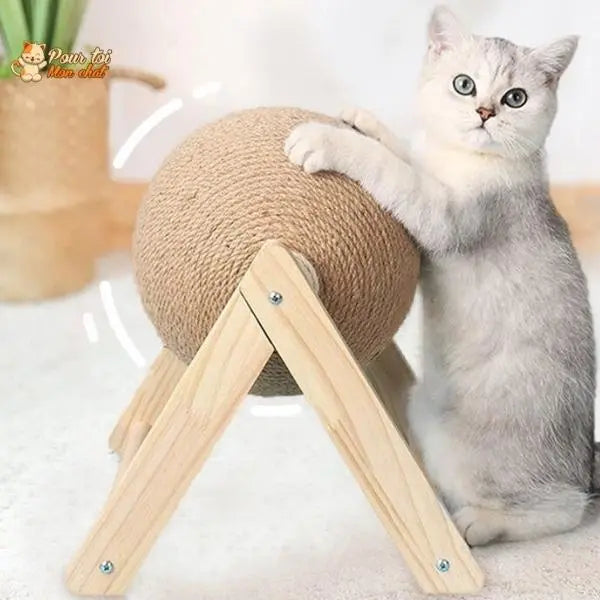 Griffoir brosse boule pour chat - Grif'Ball'Cat™