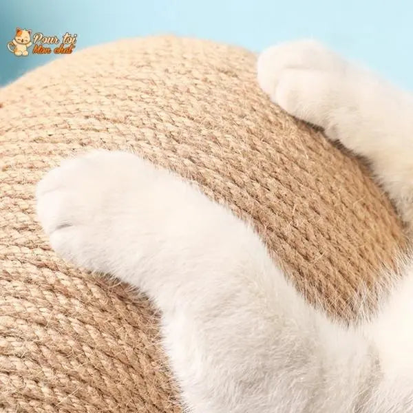 Griffoir brosse boule pour chat - Grif'Ball'Cat™